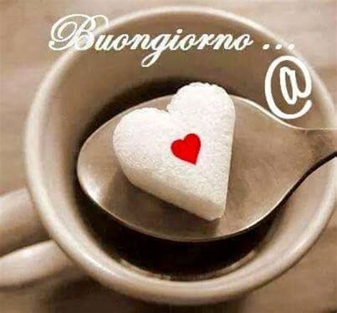 immagini buongiorno gratis per whatsapp|More.